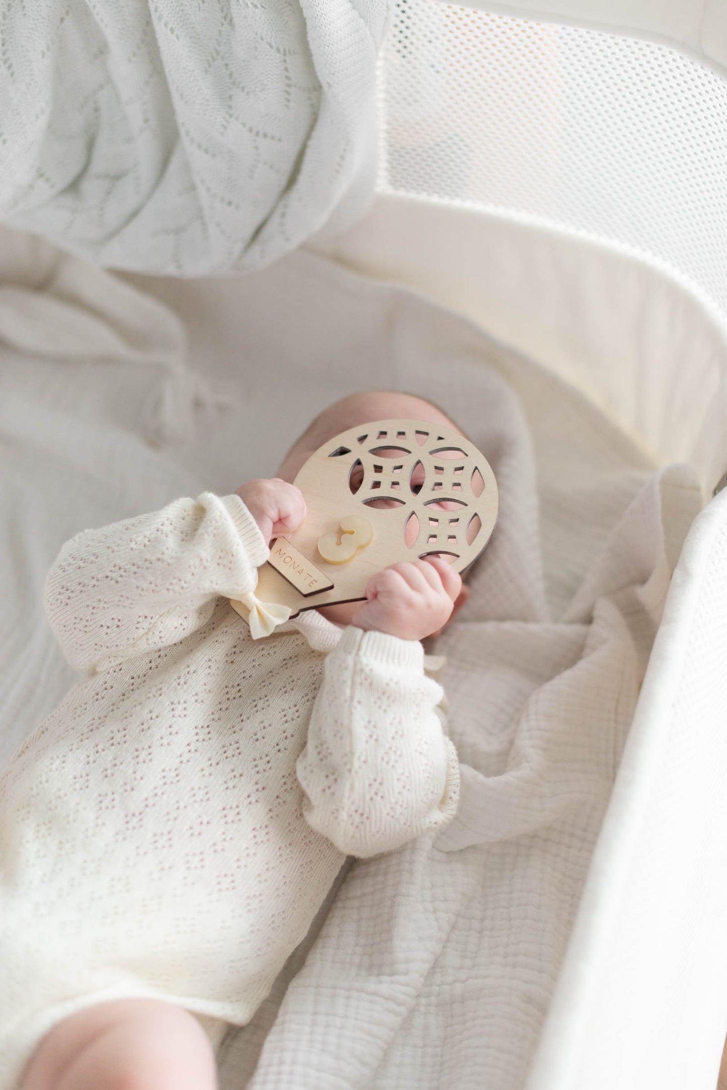 MEILENSTEINE Baby HEISSLUFTBALLON (Meilensteinkarten für süße Babybilder)