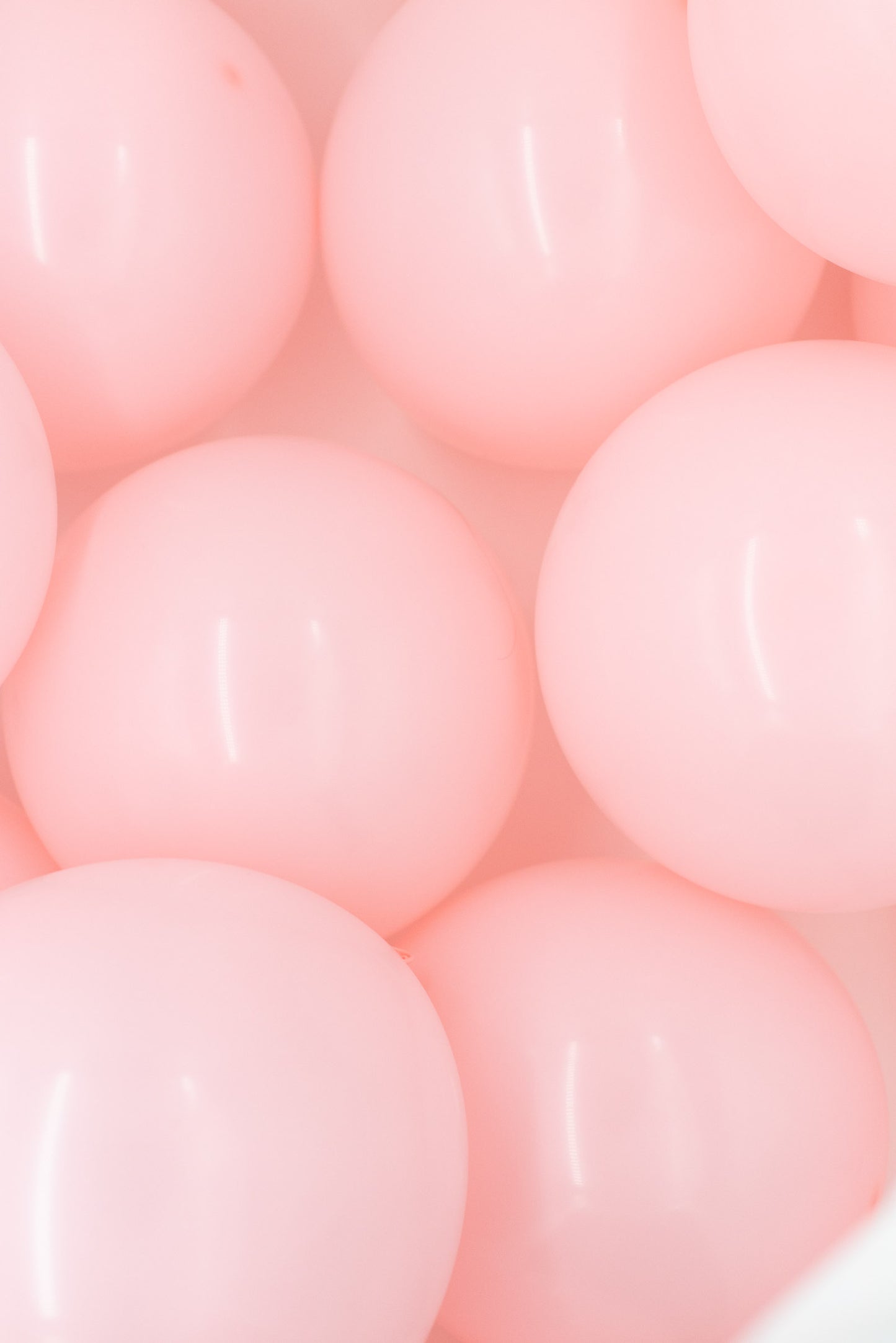 LUFTBALLONS aus Naturlatex, 50 Stück - PASTELL ROSA