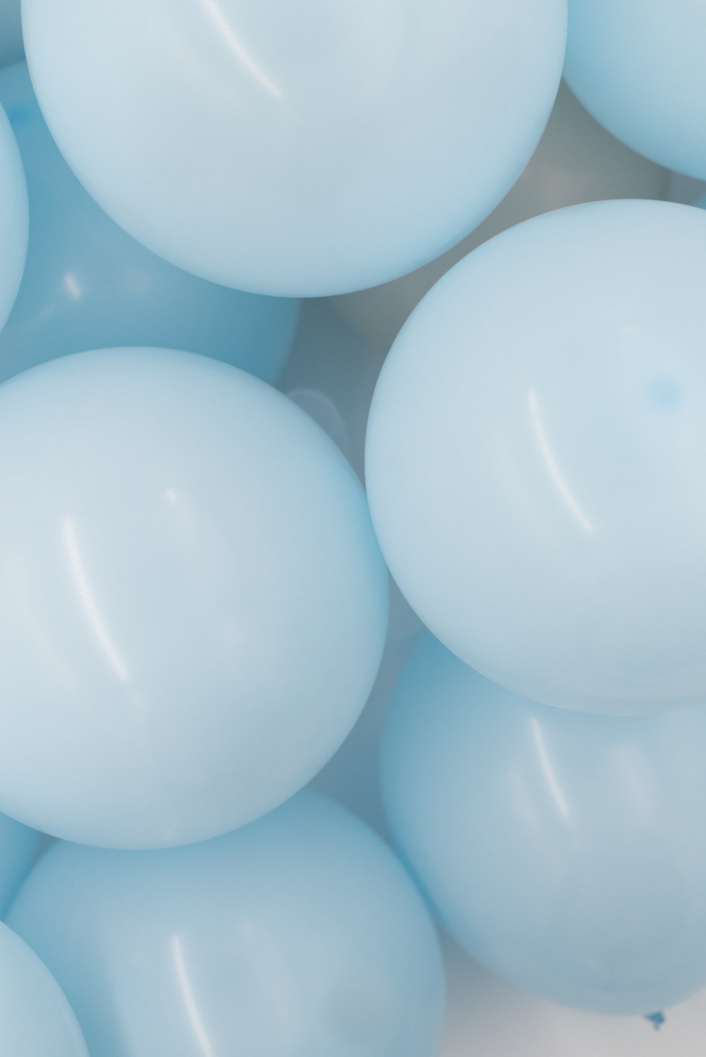 LUFTBALLONS aus Naturlatex, 50 Stück - PASTELL BLAU