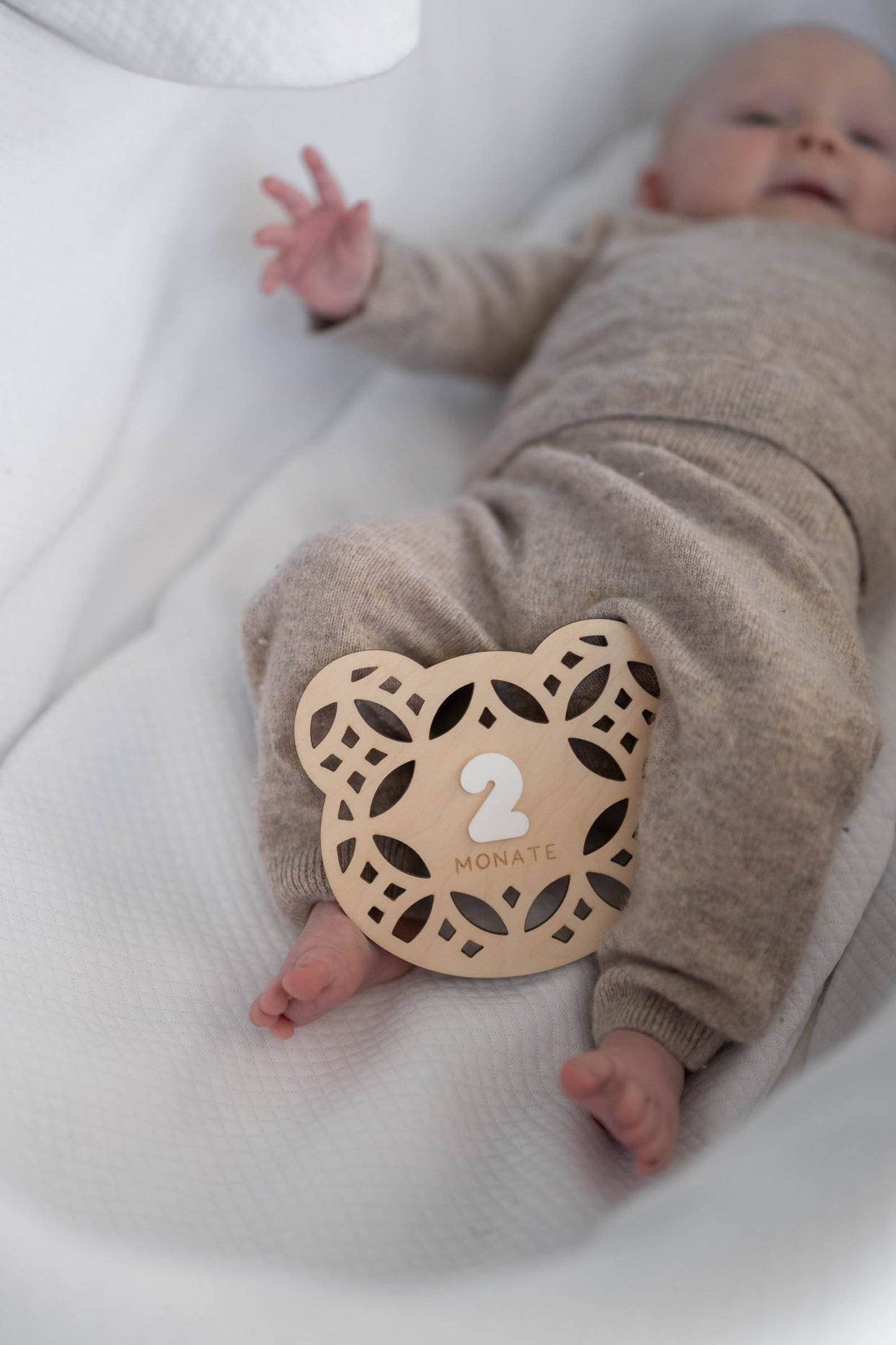 MEILENSTEINE Baby BÄR (Meilensteinkarten für süße Babybilder)