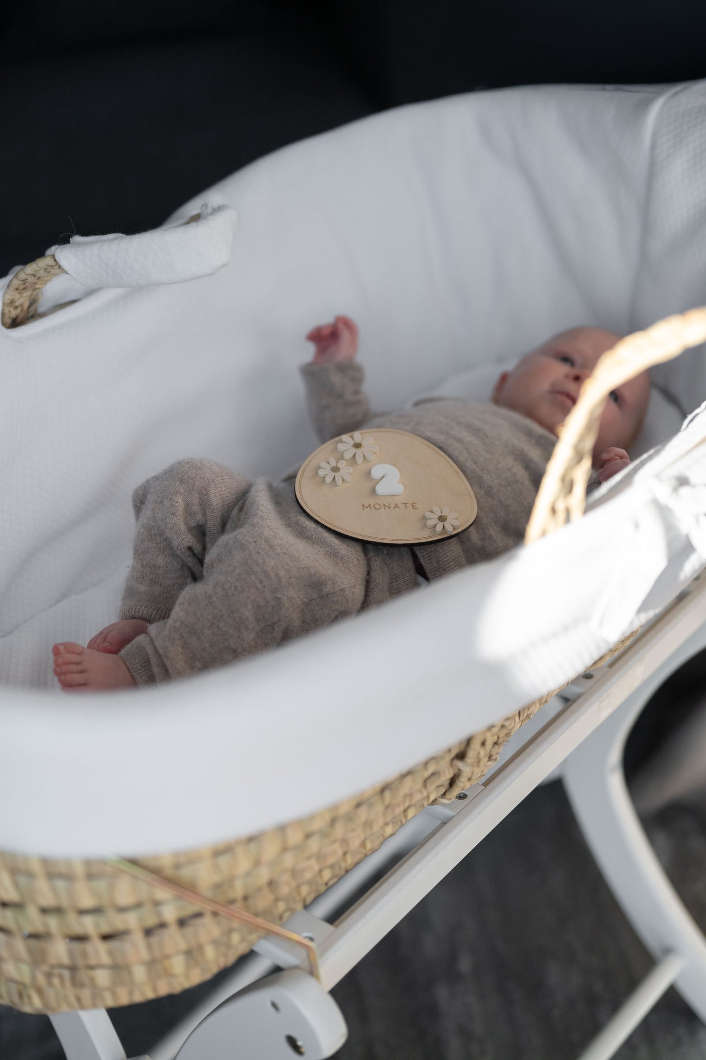 MEILENSTEINE Baby DAISY (Meilensteinkarten für süße Babybilder)