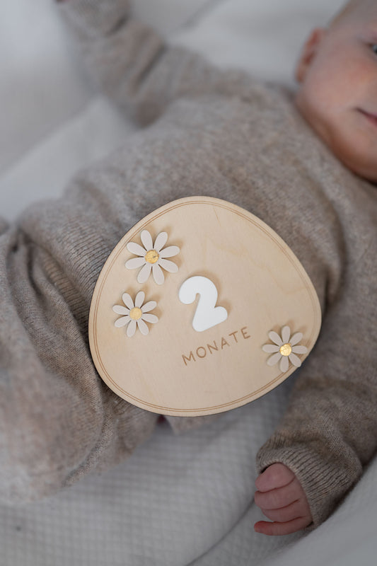 MEILENSTEINE Baby DAISY (Meilensteinkarten für süße Babybilder)