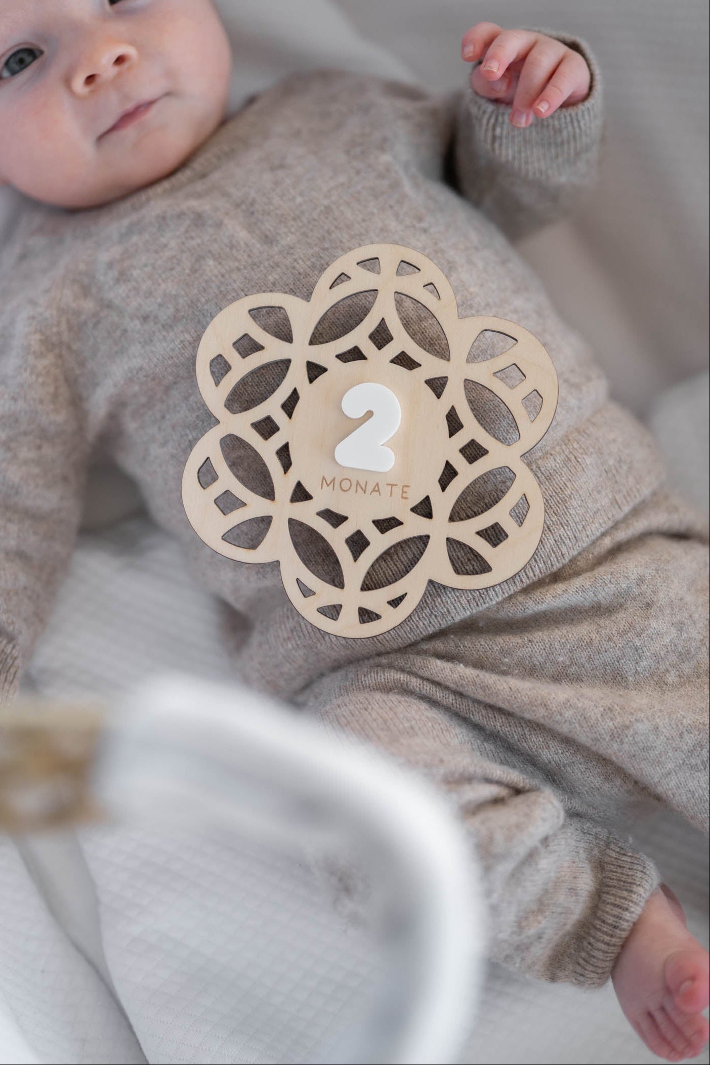 MEILENSTEINE Baby BLUME (Meilensteinkarten für süße Babybilder)