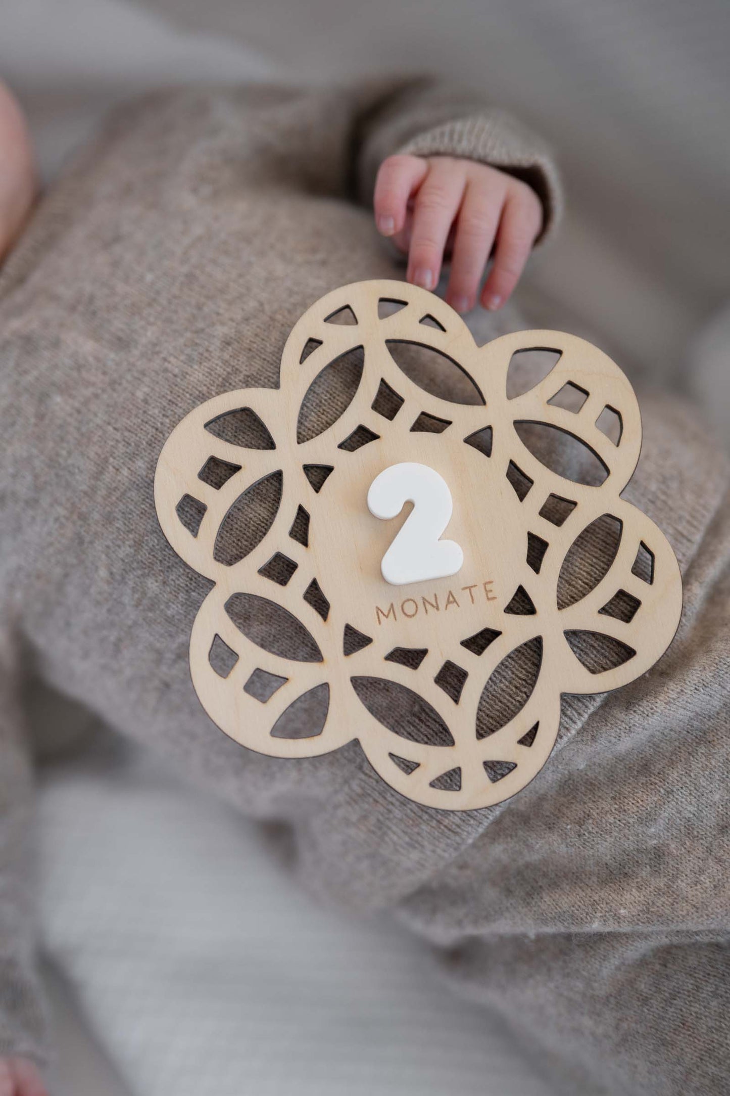 MEILENSTEINE Baby BLUME (Meilensteinkarten für süße Babybilder)