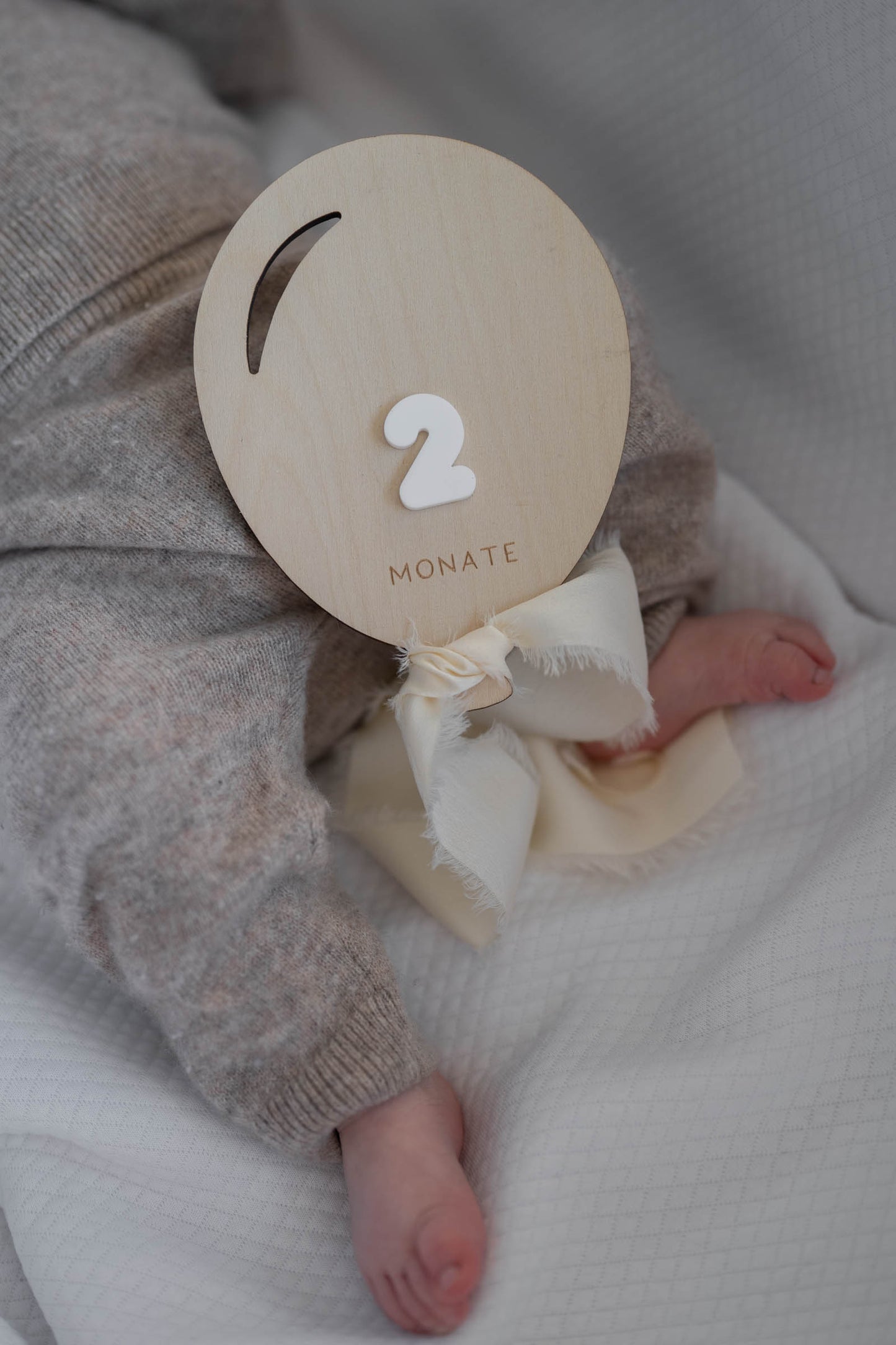 MEILENSTEINE Baby LUFTBALLON (Meilensteinkarten für süße Babybilder)