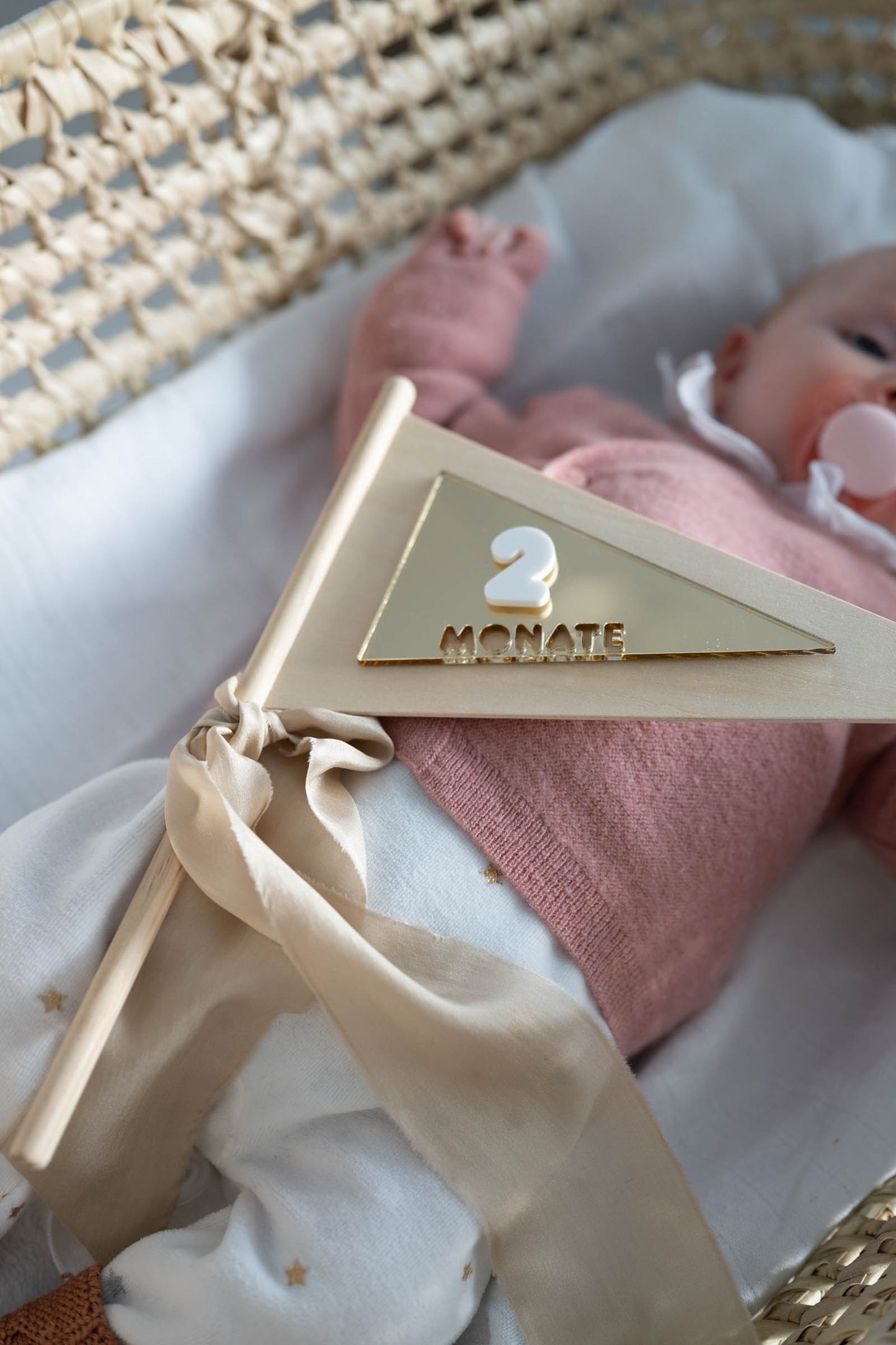 MEILENSTEINE Baby FAHNE (Meilensteinkarten für süße Babybilder)