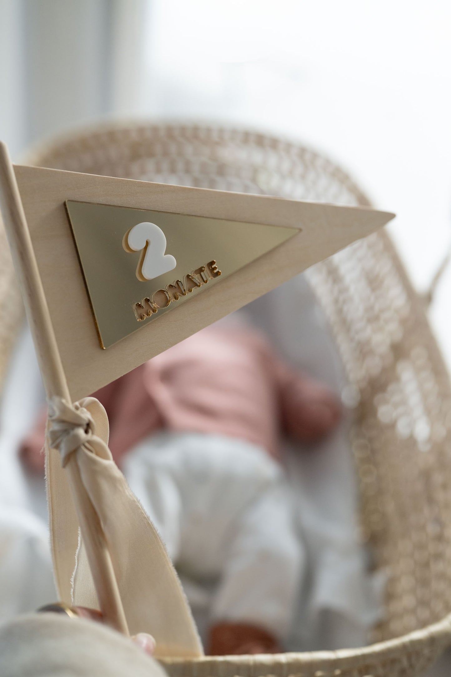 MEILENSTEINE Baby FAHNE (Meilensteinkarten für süße Babybilder)