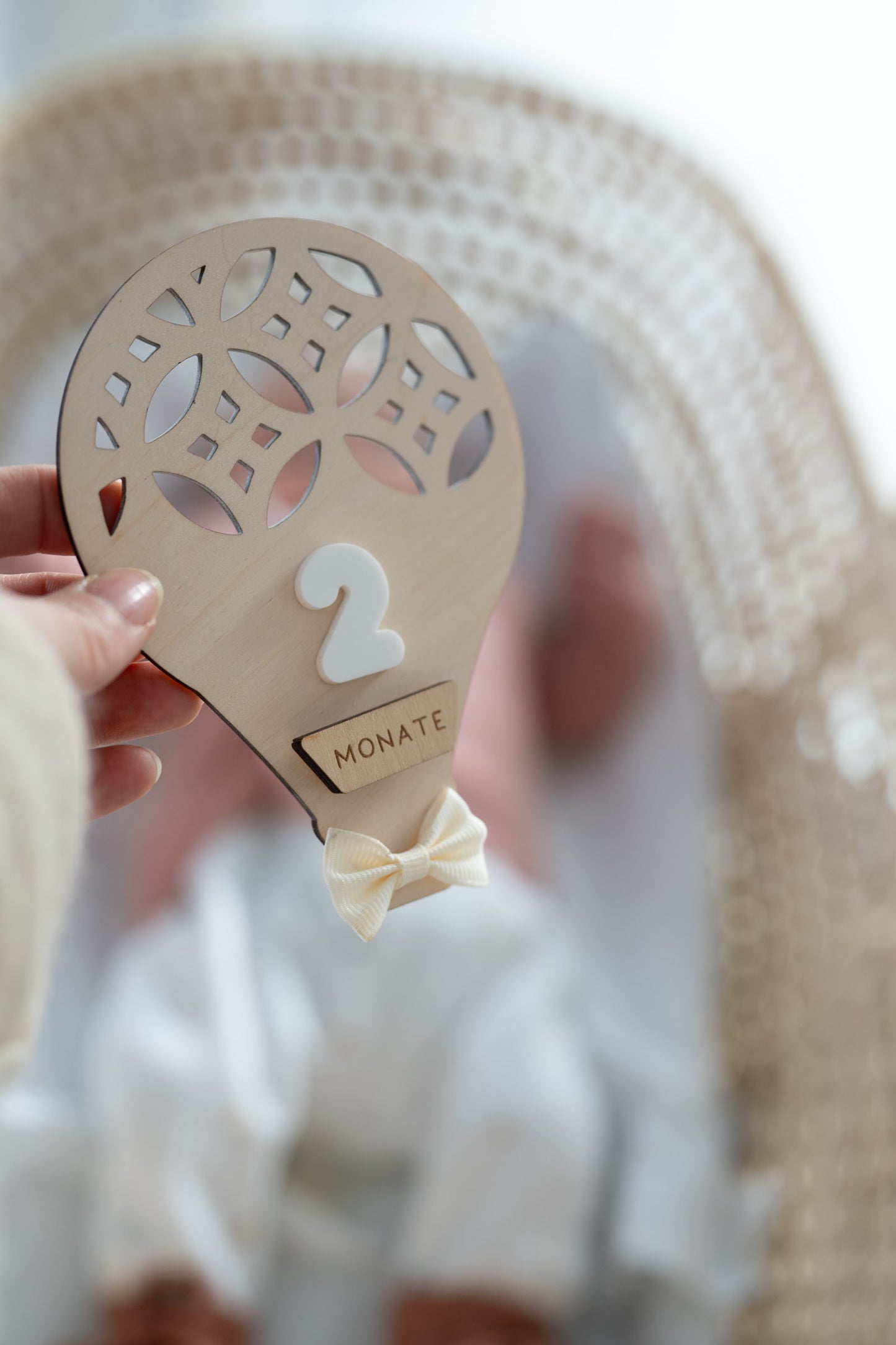 MEILENSTEINE Baby HEISSLUFTBALLON (Meilensteinkarten für süße Babybilder)