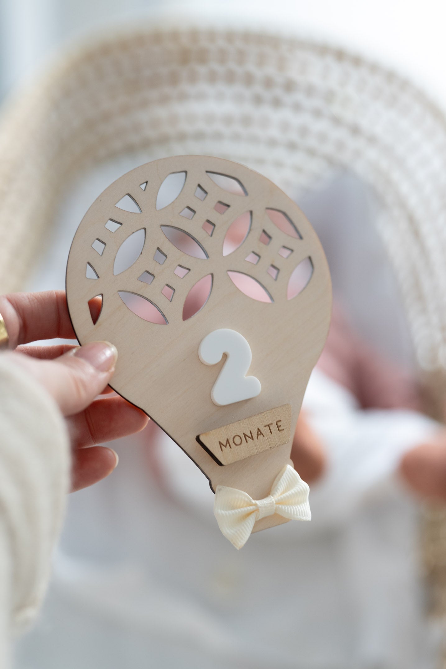 MEILENSTEINE Baby HEISSLUFTBALLON (Meilensteinkarten für süße Babybilder)