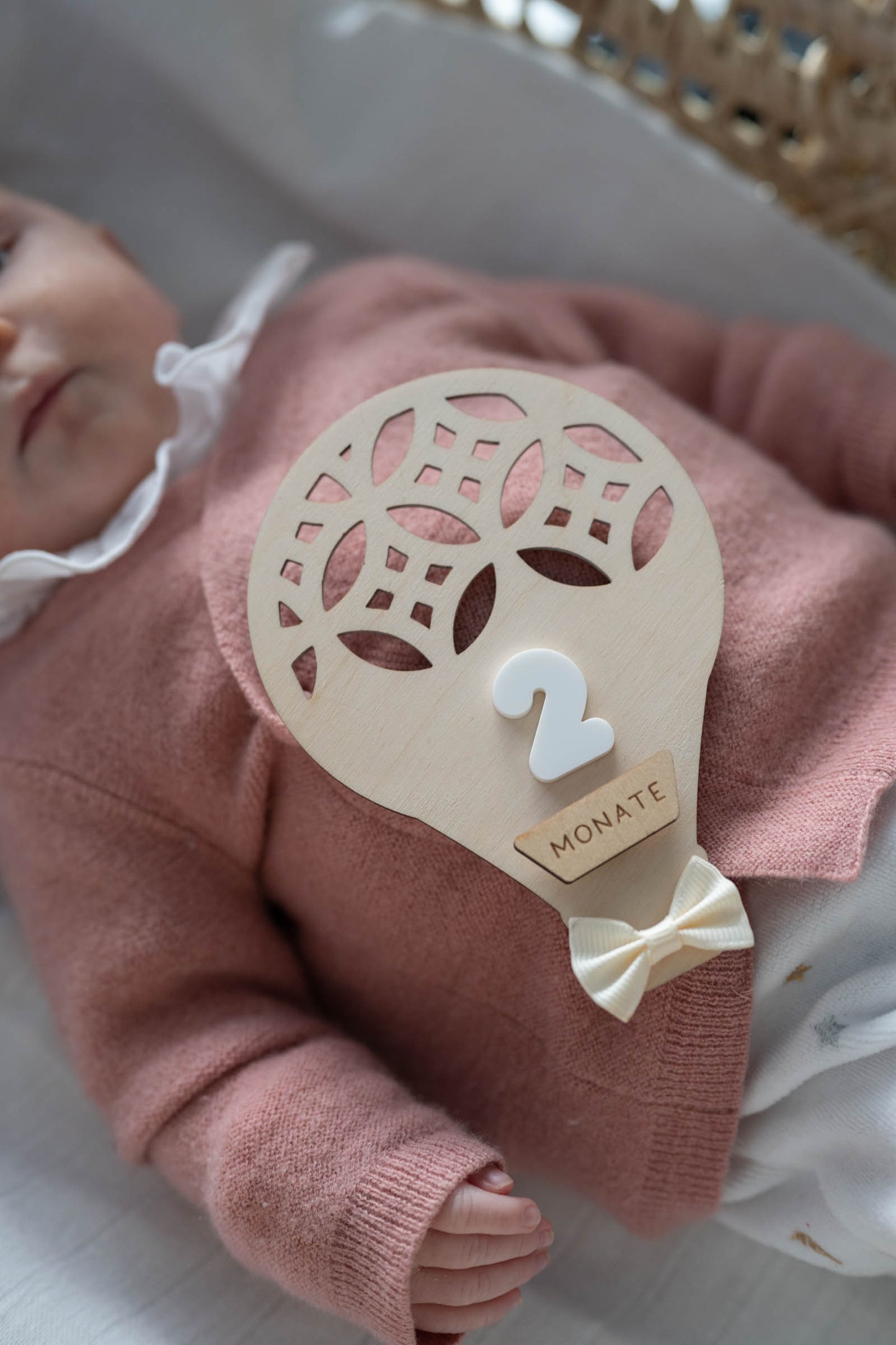 MEILENSTEINE Baby HEISSLUFTBALLON (Meilensteinkarten für süße Babybilder)