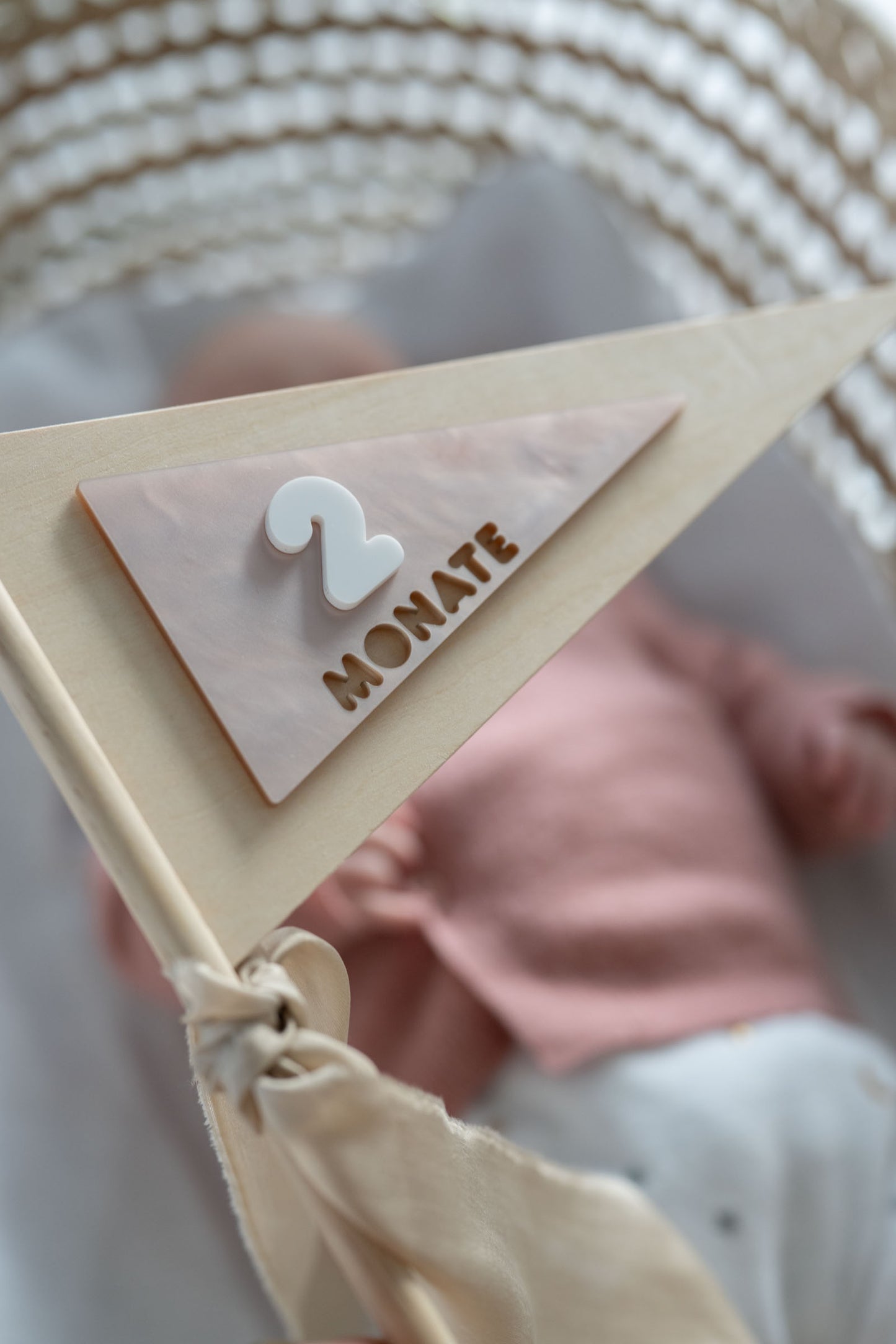 MEILENSTEINE Baby FAHNE (Meilensteinkarten für süße Babybilder)