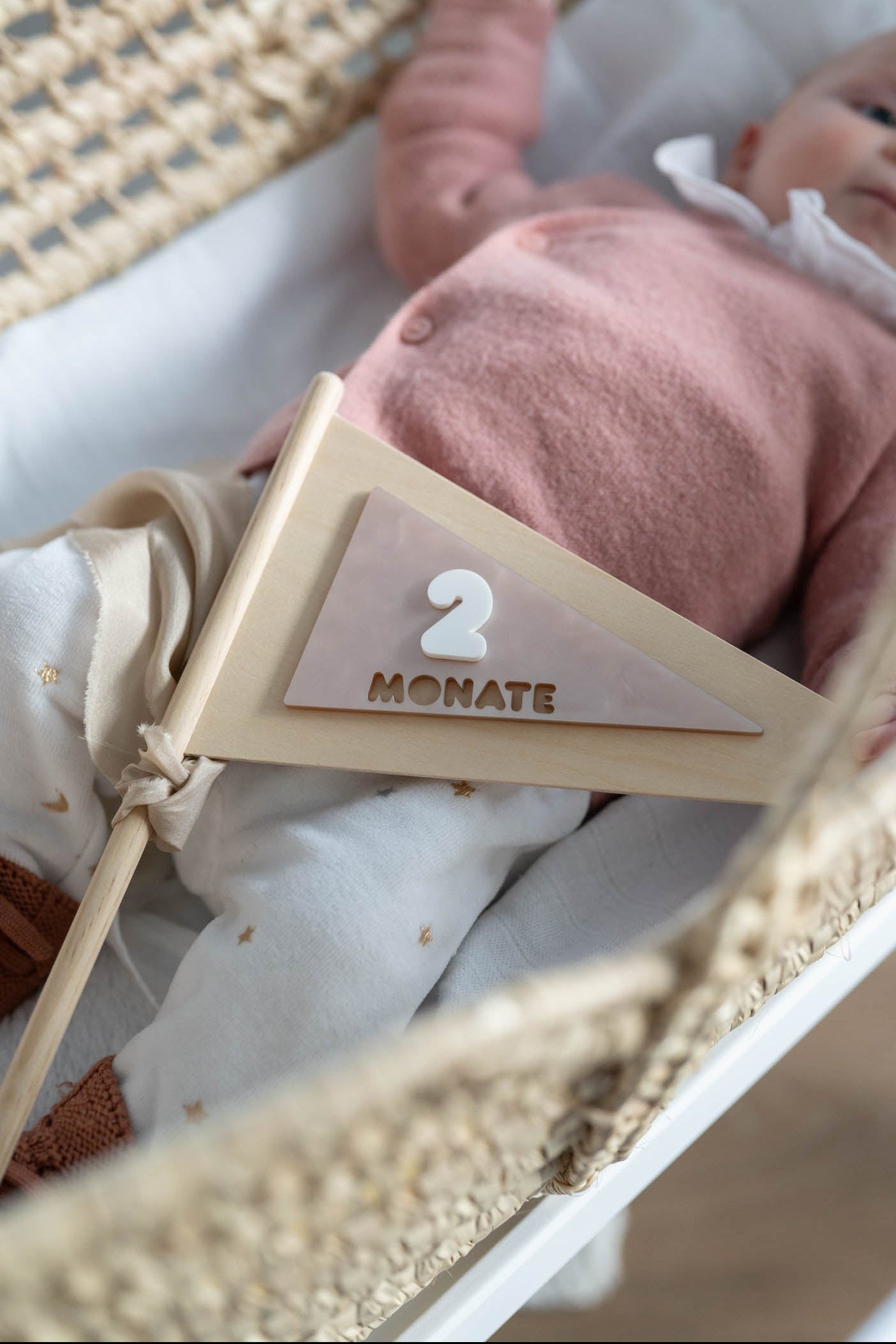 MEILENSTEINE Baby FAHNE (Meilensteinkarten für süße Babybilder)