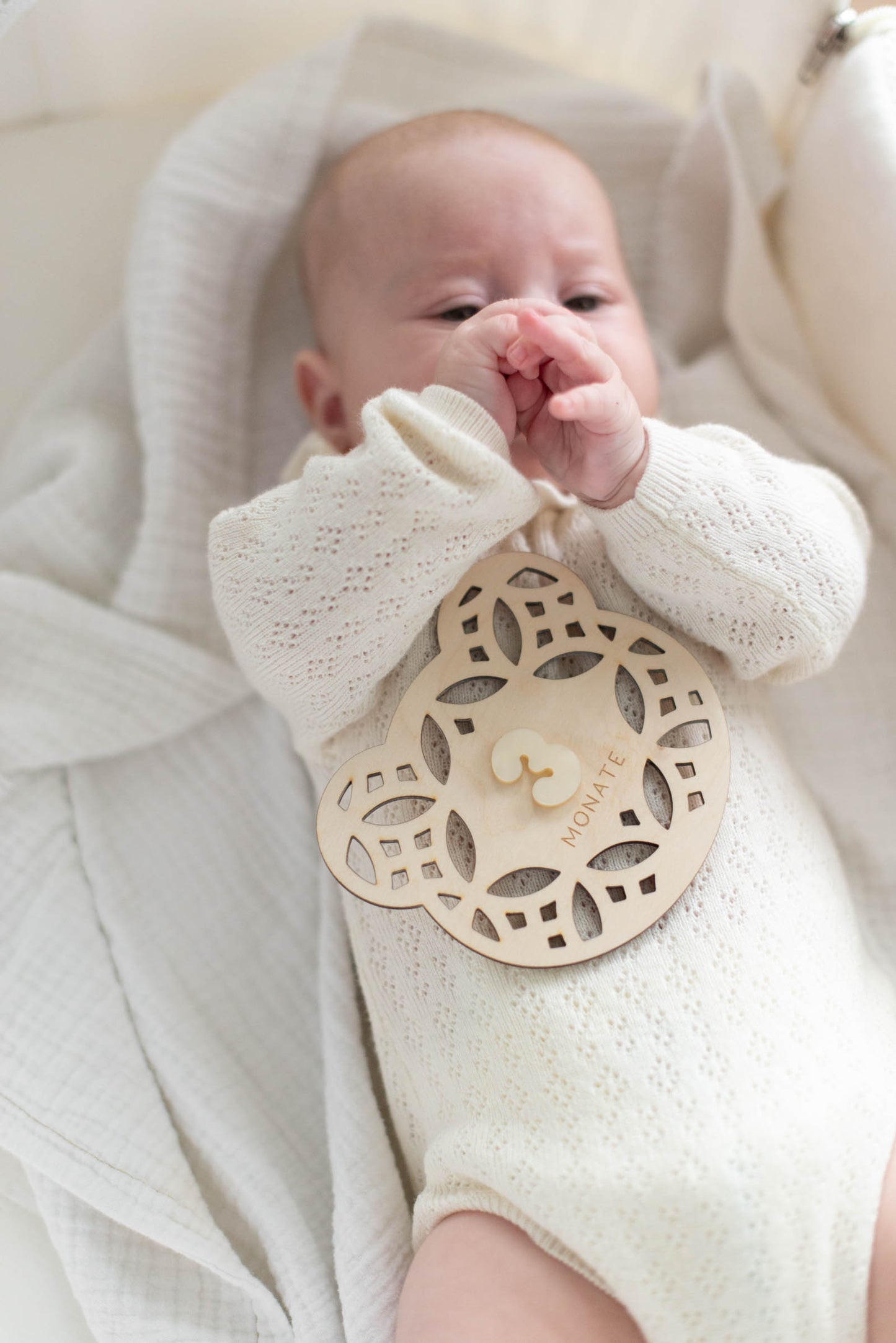 MEILENSTEINE Baby BÄR (Meilensteinkarten für süße Babybilder)